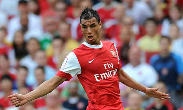 Marouane Chamakh could be going to Turkey on loan