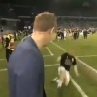 Danish reporter taken out by player’s slide tackle