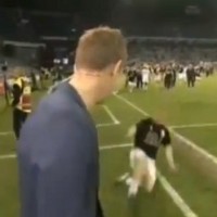 FC Copenhagen's Lars Jacobsen decided to celebrate his side's title win with a slide tackle on Danish TV pundit Peter Moeller.