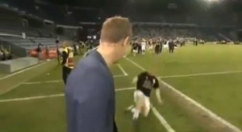 FC Copenhagen's Lars Jacobsen decided to celebrate his side's title win with a slide tackle on Danish TV pundit Peter Moeller.