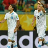 Diego Forlan celebrates his amazing goal