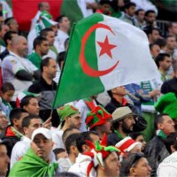 Algeria 2 : 2 Guinea Friendly Highlights