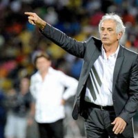 Vahid Halilhodzic will move on after the World Cup 2014