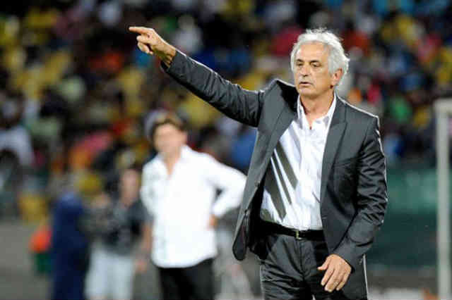 Vahid Halilhodzic will move after the World Cup 2014